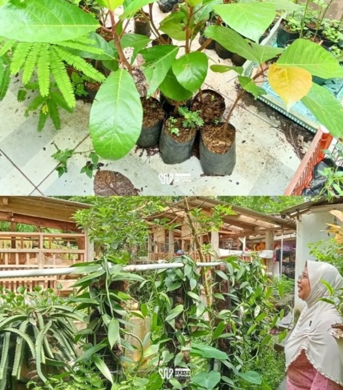 Kampung Ilmu Serayu Network Menginspirasi Peternak: Lingkungan Sehat Ekonomi Meningkat